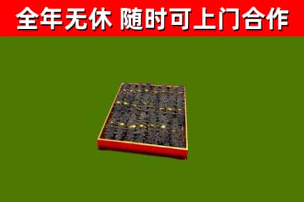 灵宝回收海参